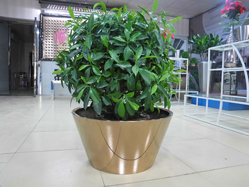 廣東汕頭不銹鋼花盆哪家做的好？